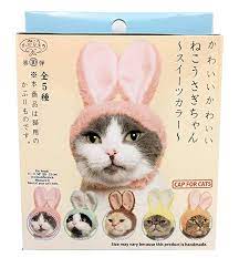 Amazon Com Kitan Club Cat Cap Pet Hat Blind Box Includes 1 Of 6 Cute Styles Soft Comfortable And Easy To Use Kitty Hood Pets Japanese Kawaii Cat Clothes
