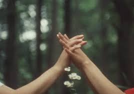 C'est c'est une ancre t'empêchant de tourner la page. Specialiste De L Image Drole Depuis 2003 Tous Les Jours Des Nouvelles Images Droles Inedites Sont Publiees Hand Gif Holding Hands Nature Gif