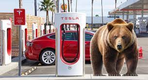 Don't Wait for the Boom to Bust,' Says Investor About Tesla Stock -  TipRanks.com