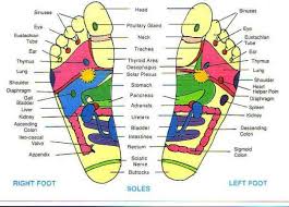 Foot Reflexology And Oil Usage Chart Google Search Foot