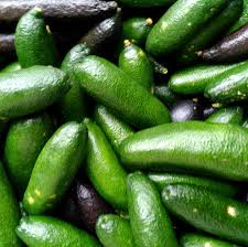 Finger limes have three times the amount of vitamin c as oranges! Finger Limes Home Facebook