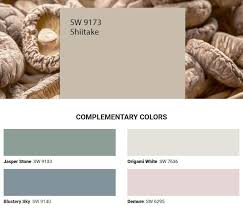 Sherwin Williams Shiitake Sw9173 In 2020 Sherwin Williams Paint Colors Complementary Colors Paint Colors For Living Room