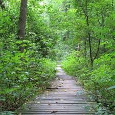 We did not find results for: John Bryan State Park