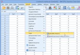 Cronbach S Alpha In Spss Via Statistics Laerd Com Cronbach S Alpha Spss Statistics Alpha
