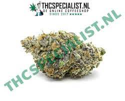 With its balance of indica. Gelato Unkraut 2 Gramm Der Nr 1 Online Coffeeshop Der Benelux