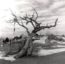 Grannystandingfortruth December 2010 History Photos Virginia City Old West