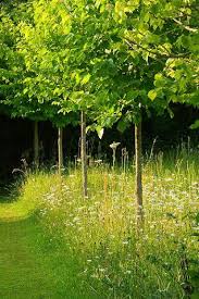 Pin By Melissa Jolly On Garden Country Garden Design Country Gardening Garden Design