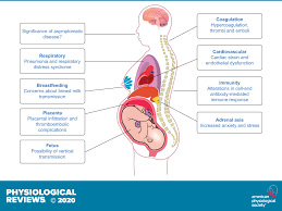 Virus protection from maternal antibodies. Pregnancy And Covid 19 Physiological Reviews