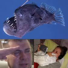 🌓 Where do the fish go after dark? 🎥 https://youtu.be/UuZk8Wxx2Jk 🔦 Our  first night freediving at a spot we often spearfish. With a pro dive light  in hand, we discover an unseen