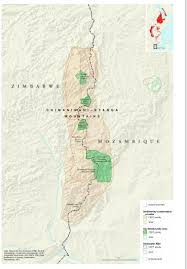 Image result for Sericanthe chimanimaniensis