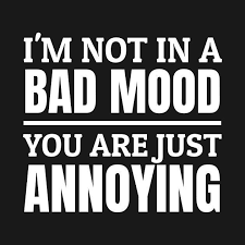 Pin By Annemiek Huizing On So Me Annoying People Quotes People Quotes Truths Bad Mood Quotes