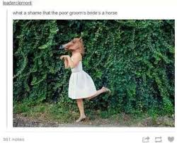 What A Shame The Poor Groom S Bride Is A Horse Panic At The Disco Disco Emo Bands