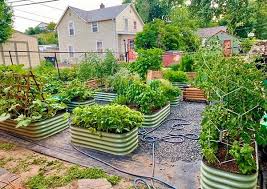 Birdies Raised Garden Beds Uk Epic Gardening Simple Practical Gardening Tips