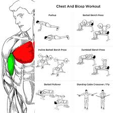 chest and bicep workout plan fitness health sport routine