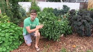 Maybe you would like to learn more about one of these? The Honest Truth About How To Have A Weed Free Garden Youtube