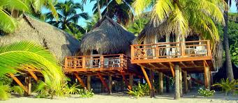 Cove was created exclusively for people like you — to help you. Paradise Cove Lodges Website Aitutaki Hotel