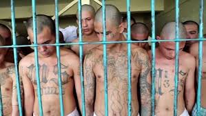 Chief of state and head of government is the president, elected for a single. El Salvador Fotos Aus Gefangnissen Sorgen Fur Emporung