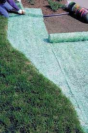 Just make sure you til the grass seed into the soil to conceal it from the birds. Pin On Outdoor Oasis