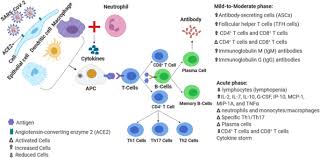 We'd like to set additional cookies to understand how you use gov.uk, remember your settings and improve government services. Mesenchymal Stem Cell Therapy For Covid 19 Present Or Future Springerlink