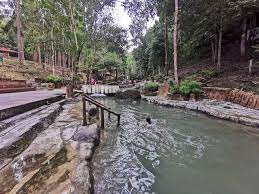 See more ideas about penang, tunku abdul rahman, malaysia. Taman Rimba Teluk Bahang Percutian Bajet