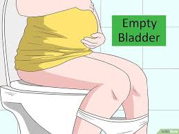 After this drop in temperature, your dog will enter stage one of labor in which her cervix begins to dilate in order to allow the puppies to emerge. How To Dilate Faster How To Dilate Faster How To Dilate Dialate Cervix