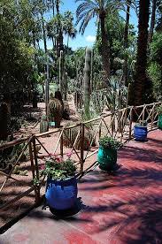 Majorelle Garden In Marrakesh Avec Images Jardin Majorelle Jardins Marrakech