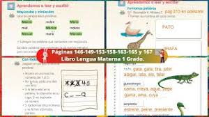 19 de septiembre del 2014. Paginas 146 149 153 158 163 165 Y 167 Libro Lengua Materna 1 Grado Youtube