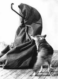 Watch popular content from the following creators: Joseph Beuys Actions Vitrines Environments Room 4 Tate