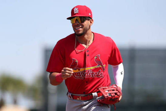 Joshua Baez 🤝 Cardinals' 40-man roster He's a plus power hitter who posted a .238 isolated slugging in Double-A with a 107.1 mph 90th percentile exit velocity 🔥 He ranks No. 3
