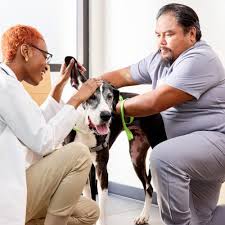 THE BEST 10 Veterinarians near LOUETTA, TX 77379