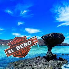 Yonke el bebo