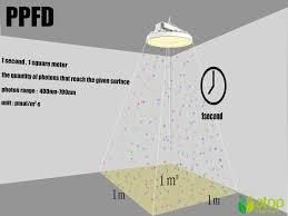 Scientifically speaking, ppfd is a measure of photons that reach a given surface (ideally a plant) each second. Information On Several Important Parameters Of Led Grow Light Par Ppf Ppfd Dli Atop Lighting