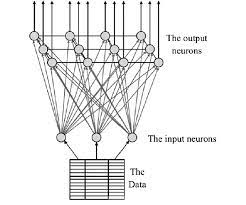 Self Organizing Map Neural Network Sample Keramati Jafari Marandi Download Scientific Diagram