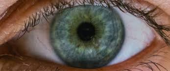 16 obiective ale acestei strategii cheie sunt neîndeplinite, unele înregistrând regrese semnificative. Prima Monitorizare IndependentÄƒ A Strategiei NaÈ›ionale De Competitivitate 2015 2020 Inaco