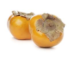 Image result for Diospyros crassiflora