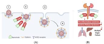 Image result for Baricitinib