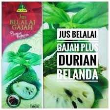 Al ejib jus belalai gajah plus durian belanda 400 ml. Jus Belalai Gajah Plus Durian Belanda Al Ejib Shopee Malaysia