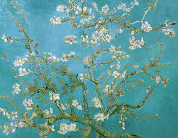 Browse pictures and read growth / cultivation information about prunus species, flowering almond, flowering plum, rose tree of china (prunus triloba) supplied by member gardeners in the plantfiles. Van Gogh Blossoming Almond Tree Painting By Vincent Van Gogh