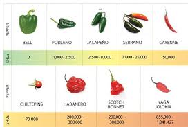 Whats So Hot About Chili Peppers Science Smithsonian