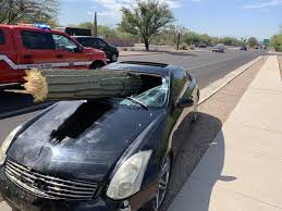 View detailed information and reviews for 9911 s spiney cactus way in tucson, arizona and get driving directions with road conditions and live traffic updates along the way. Saguaro Slices Through Car Windshield In Catalina Foothills Crash Local News Tucson Com