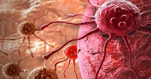 Bedbugs are my biggest fear about staying in hotels — so much so, in fact, that though i once used to enjoy sleeping in a luxurious hotel bed, i now avoid it they are called bedbugs because that is where they most often feed on their host, live and lay their eggs. Cancer Not Only Mutates But Evolves Other Mechanisms To Beat Drugs