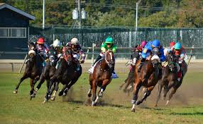 Death, taxes and bob baffert winning the kentucky derby. Is Rock Your World The New Kentucky Derby 2021 Winner Horse Racing News