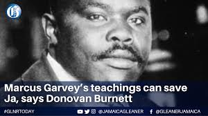 Jamaicans in the diaspora are often in despair when news of the country  being under the gun of crime, corruption, and social and economic ills  breaks. But Jamaica-born retiree, Donovan Burnett, sees