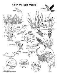 Salt Marsh Coloring Page Coloring Pages Summer Camp Art Salt Marsh