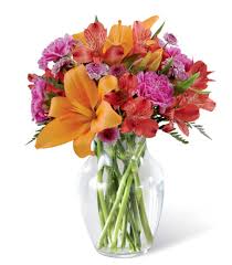 Flowering takes place during spring and the acorn fruits appear in the following autumn. South Dakota Flower Delivery By Florist One