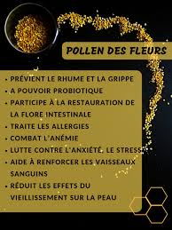 Pollen Des Fleurs Bienfaits Flower Pollen Benefits Remedes De Sante Fleurs Probiotique