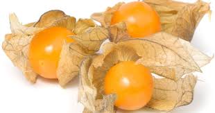 Physalis Sudamerikanischer Beeren Import Physalis Physalis Pflanzen Erdbeeren Pflanzen