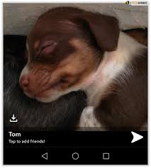 But try not to creep her out. How To Start Your Snapchat Streak And Make It Last