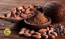 Xocoan Productos de Cacao - C. Jesus 611, Barrio Sagrada Familia ...