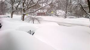 Showers at times heavy beginning this afternoon. Last Night S Snow Totals Reach 20 Centimetres In Some Areas Ctv News